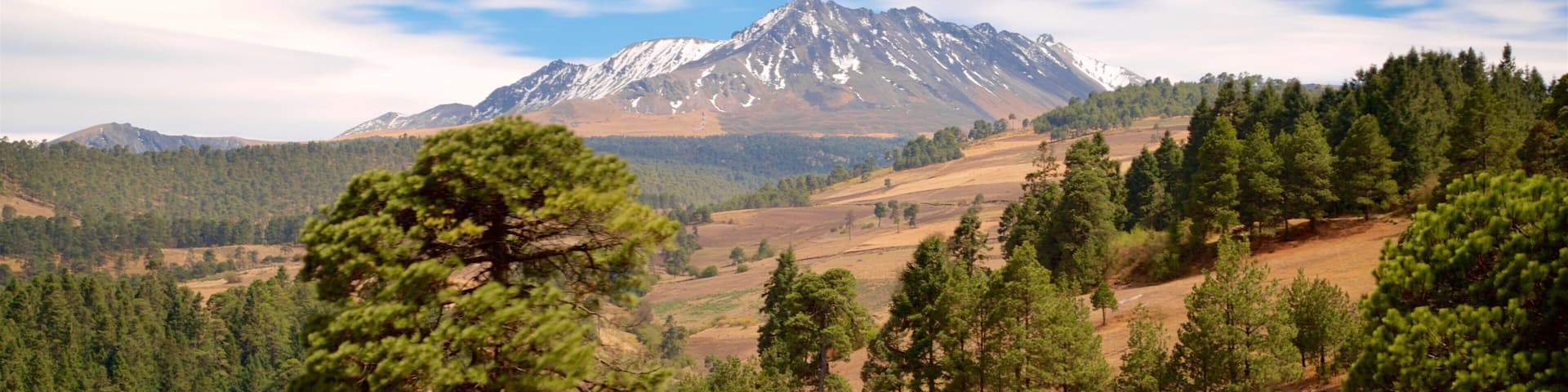 A mountainous landscape with a prominent snow-capped peak, dense forests, and rolling hills.