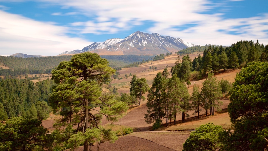 A mountainous landscape with a prominent snow-capped peak, dense forests, and rolling hills.