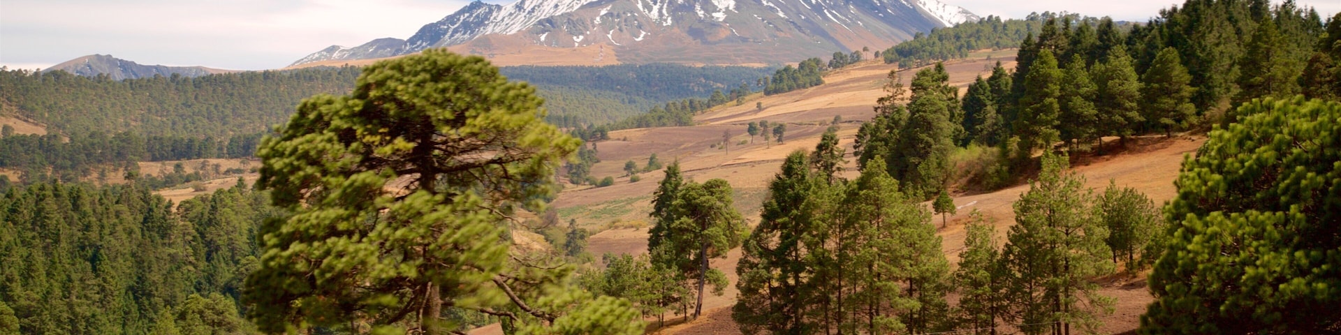 A mountainous landscape with a prominent snow-capped peak, dense forests, and rolling hills.