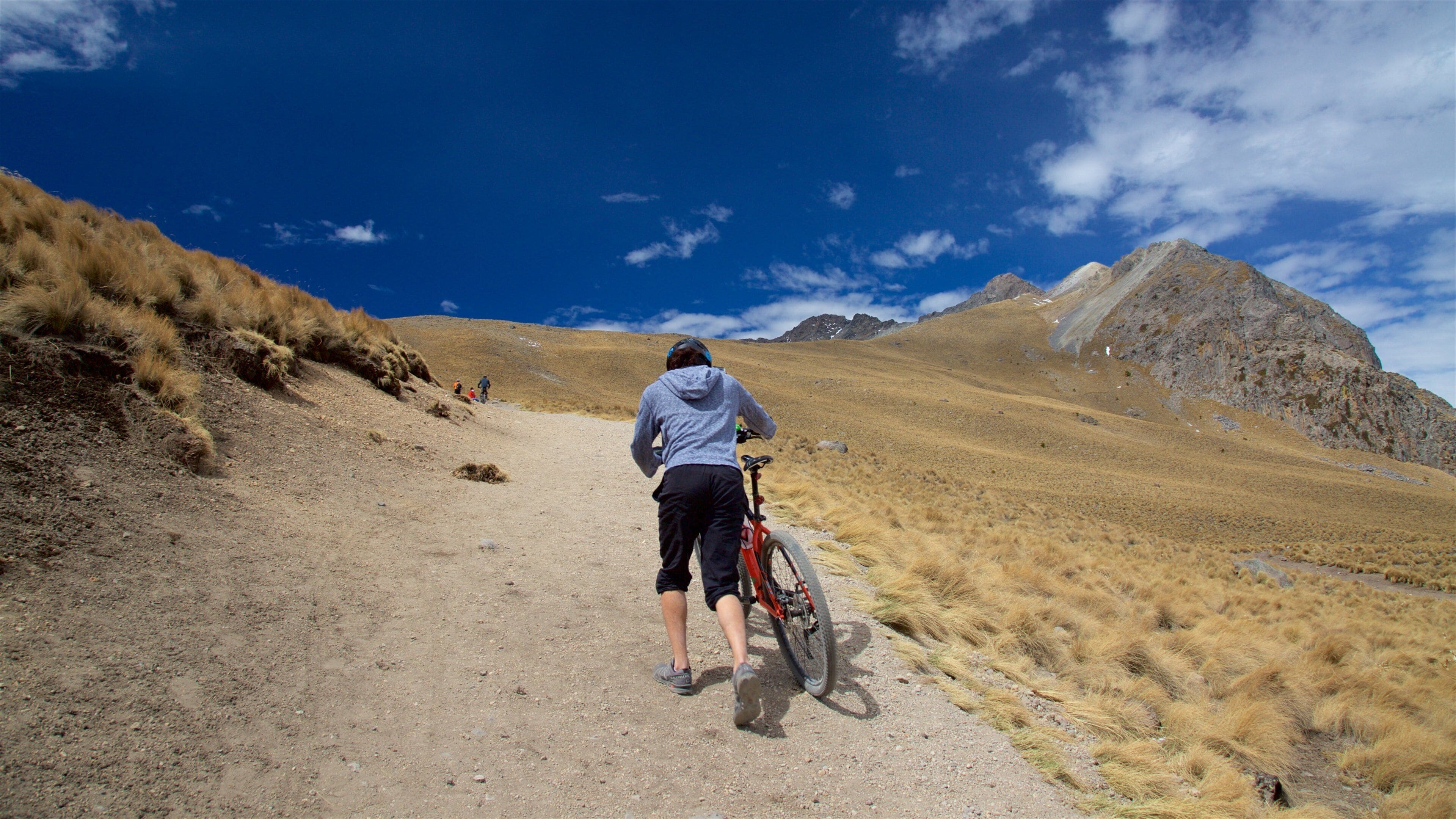 Nevado de Toluca National Park showing mountain biking, tranquil scenes and landscape views