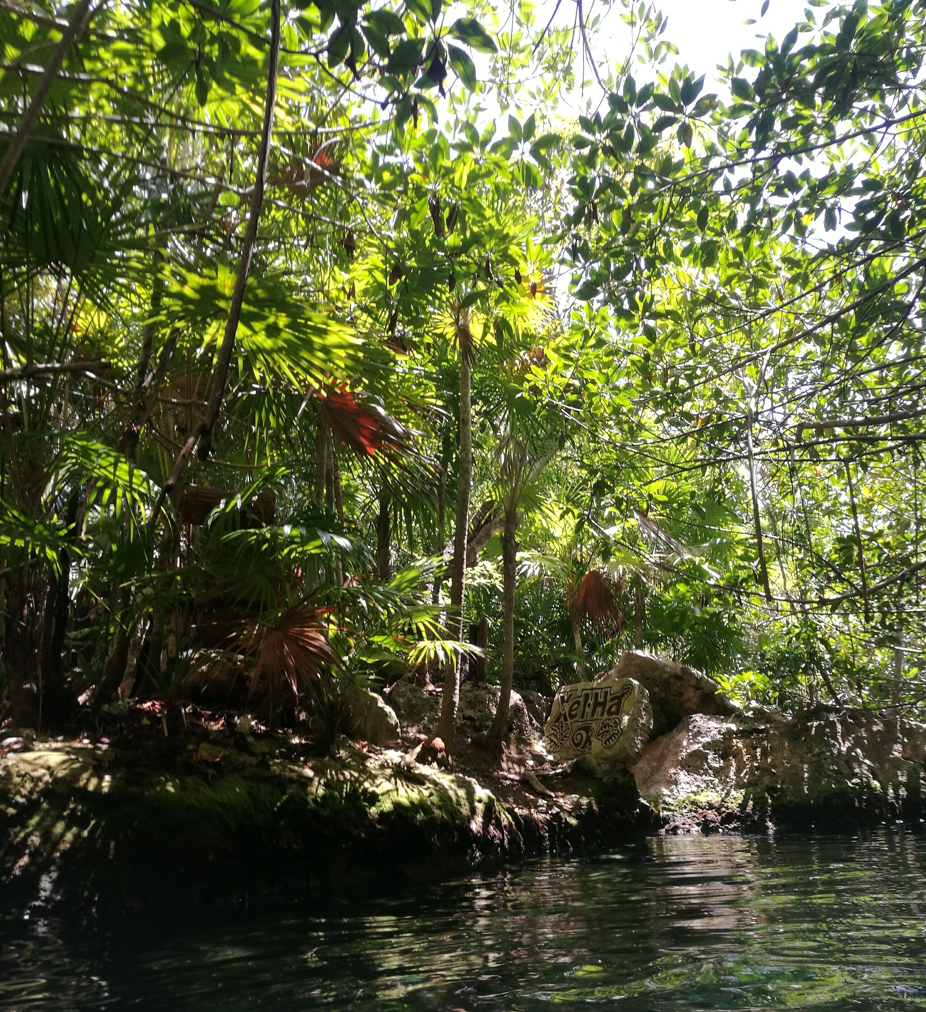 Xelha Park... wonder nature... #LifeatExpedia