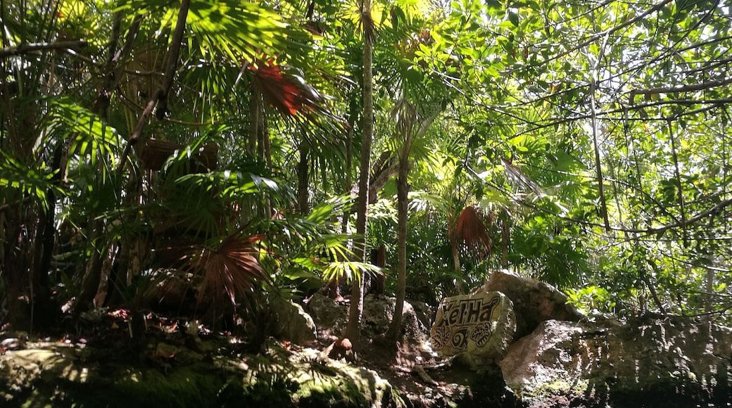 Xelha Park... wonder nature... #LifeatExpedia