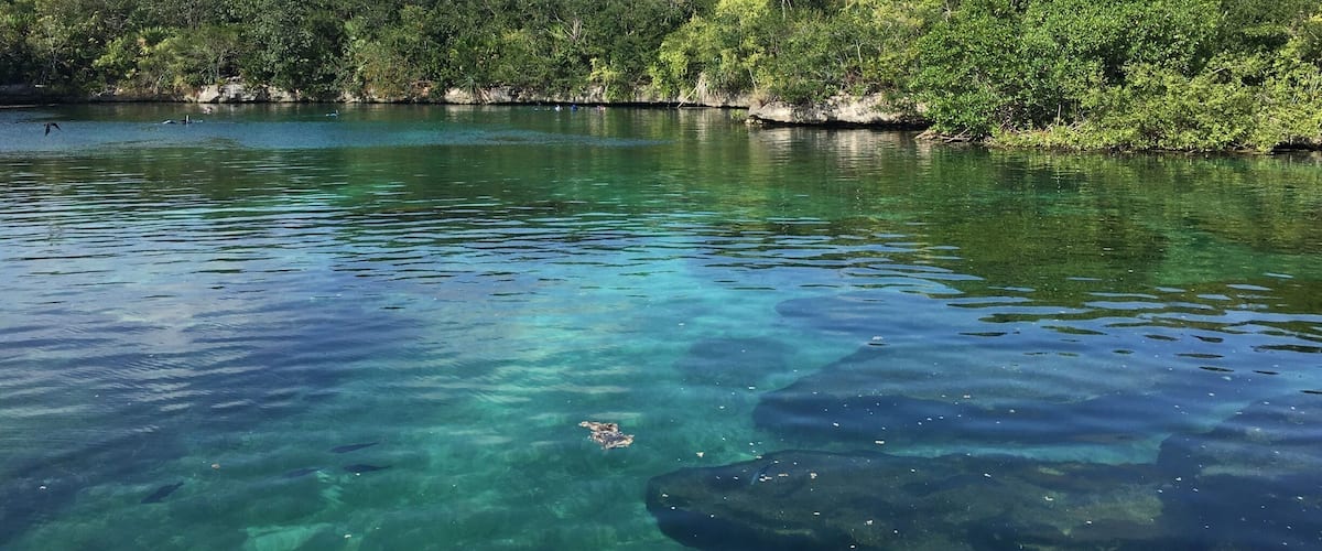 Beautiful landscape in an aquatic park near to playa del Carmen