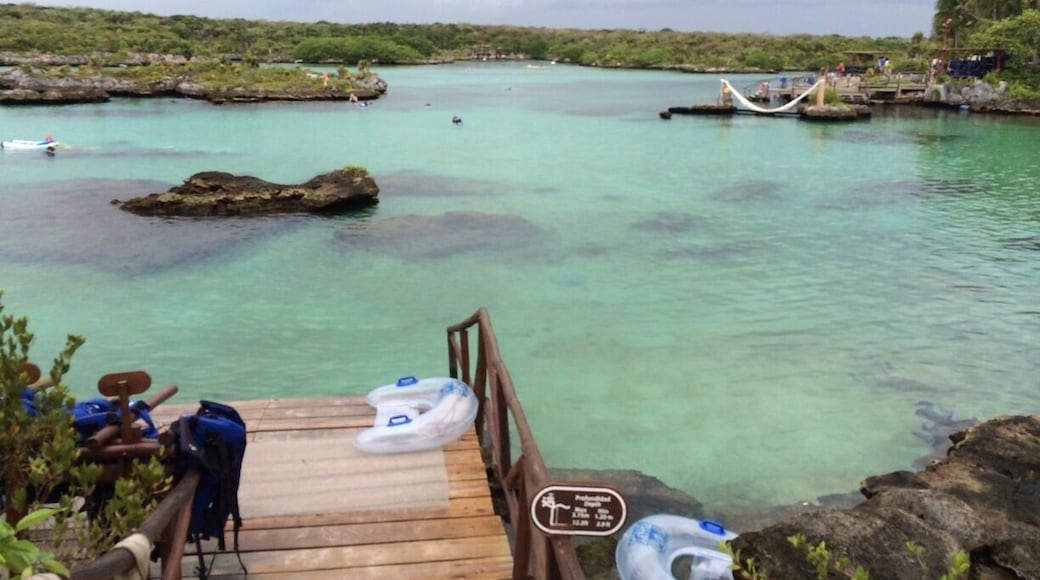 Xel-Ha was a cool adventure park with snorkeling the natural estuary as the main attraction. Saw tons of fish including two grouper of 4 feet or more, zip lines into the water, cliff diving, and many other neat attractions. Well worth a visit.