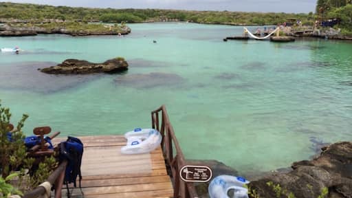 Xel-Ha was a cool adventure park with snorkeling the natural estuary as the main attraction. Saw tons of fish including two grouper of 4 feet or more, zip lines into the water, cliff diving, and many other neat attractions. Well worth a visit.