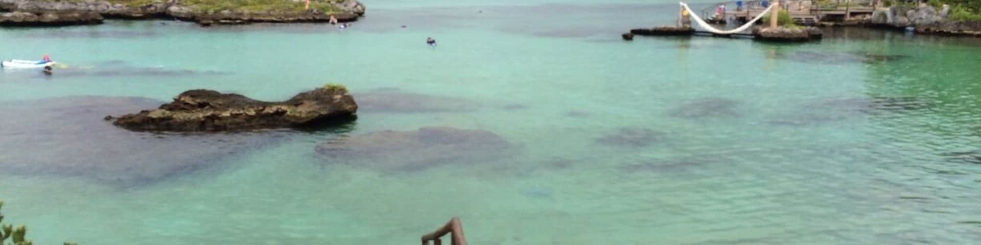 Xel-Ha was a cool adventure park with snorkeling the natural estuary as the main attraction. Saw tons of fish including two grouper of 4 feet or more, zip lines into the water, cliff diving, and many other neat attractions. Well worth a visit.