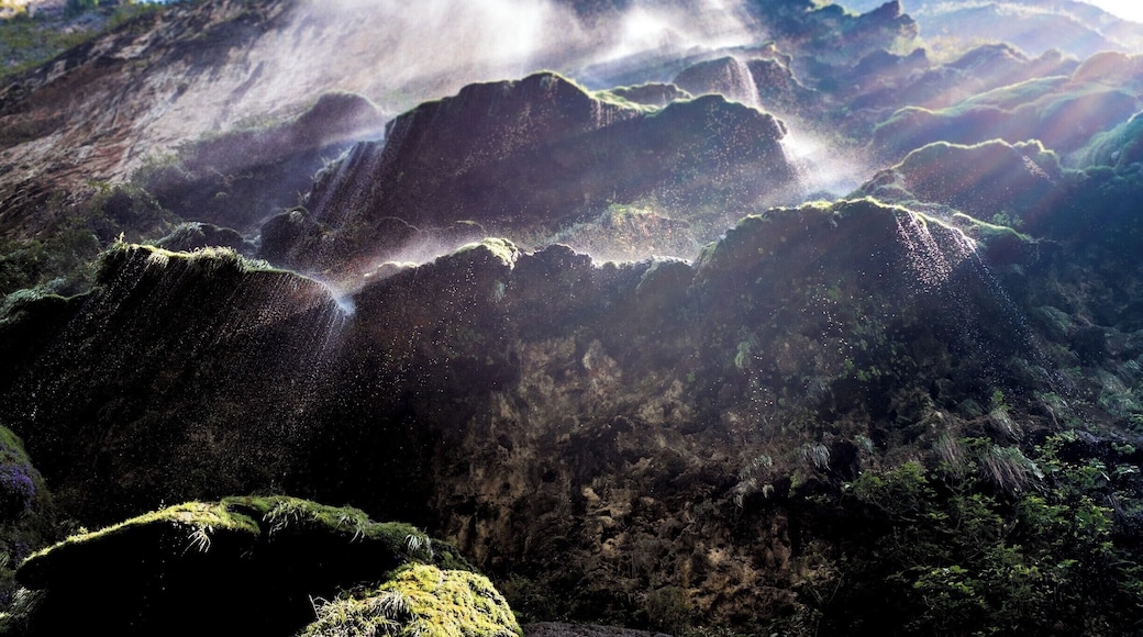 Mystic Mist 🔮
The underside of the natural phenomenon deep in the Cañón de Sumidero- Christmas Tree Waterfall.
📍Cañón de Sumidero, Chiapas, Mexico 🇲🇽