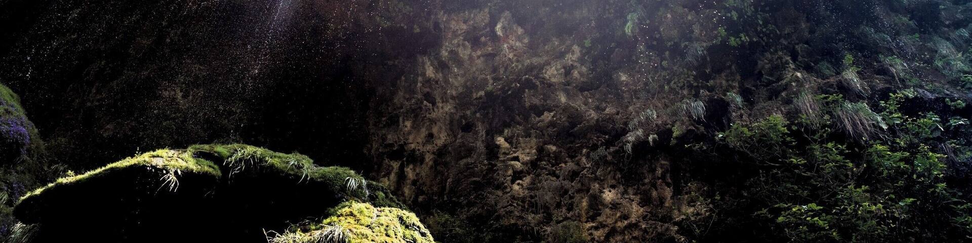 Mystic Mist 🔮
The underside of the natural phenomenon deep in the Cañón de Sumidero- Christmas Tree Waterfall.
📍Cañón de Sumidero, Chiapas, Mexico 🇲🇽