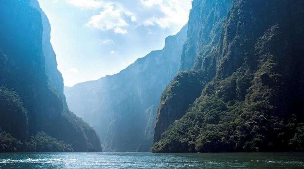 Colours of the Cañón
Feeling like a pterodactyl could swoop due at any moment and steal you/your hat!
Cañón de Sumidero felt prehistoric in its lushness, kilometre high cliffs and prevalent wildlife. We saw monkeys, crocodiles, herons, pelicans and vultures all seemingly unbothered by our speedboat. What a special place!