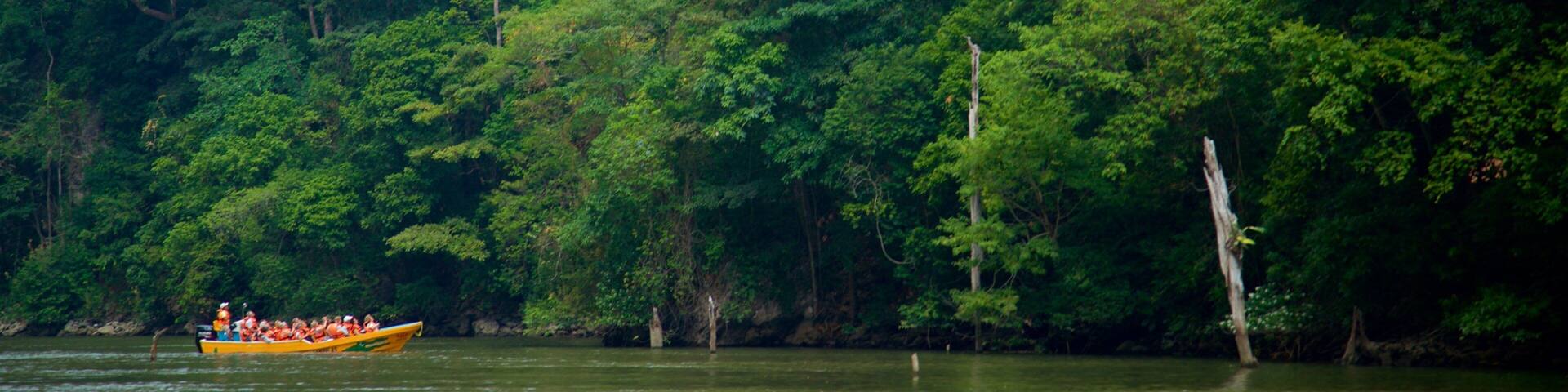 Canon del Sumidero National Park showing boating and a river or creek as well as a small group of people