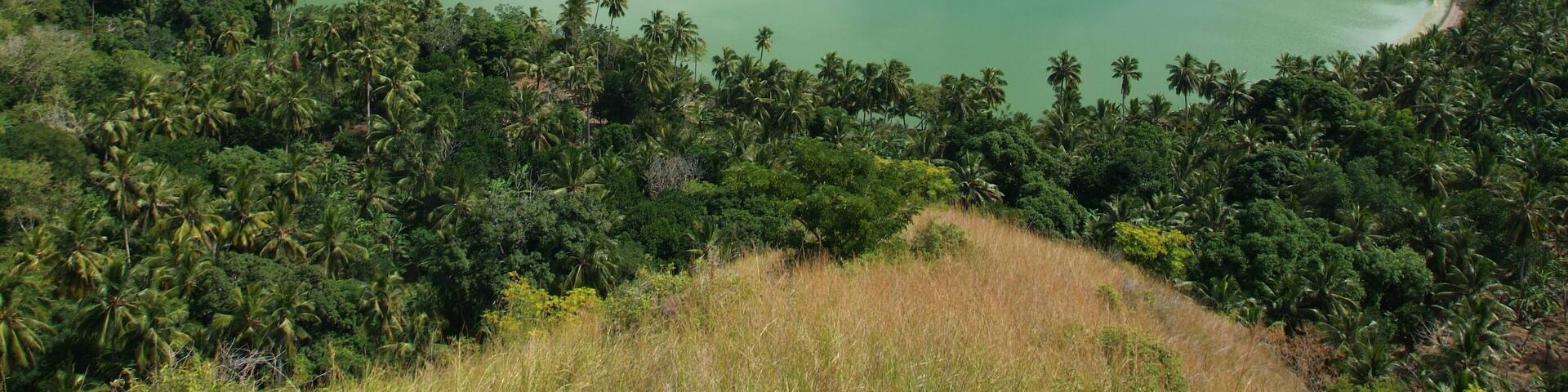 The volcano lake of Dziani on Mayotte island
