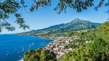 A coastal town with a mountain in the background, surrounded by lush greenery.