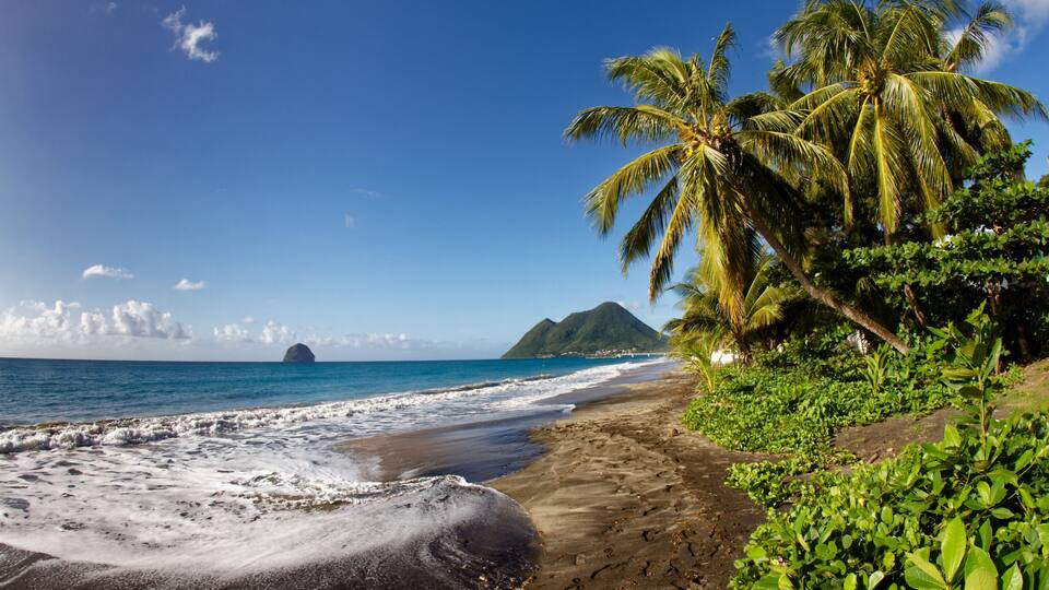 A tropical beach with palm trees, a sandy shore, and a mountain in the distance.