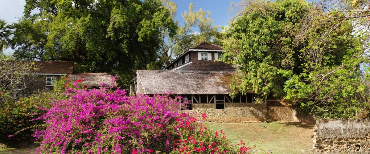 A rustic barn with a thatched roof, surrounded by lush greenery and vibrant pink bougainvillea.