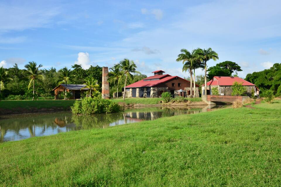 A house with a red roof, a pond, and palm trees.