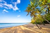 “Grand Anse des Salines“ is a popular beach on tropical island Martinique in the Caribbean sea. Empty white sandy beach with palm trees, calm sea early in the morning without people. Warm sunlight.