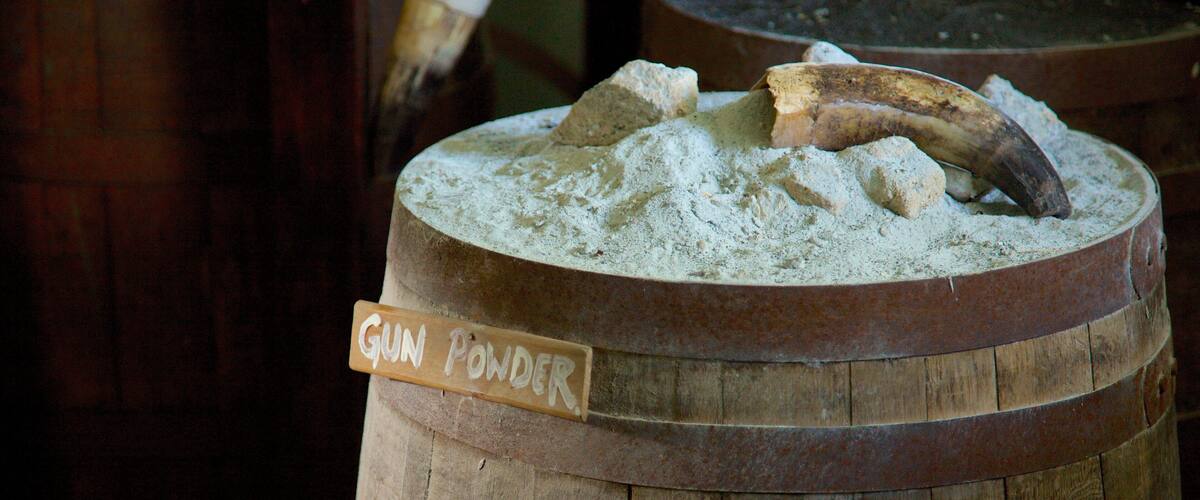 Fort Cornwallis featuring signage