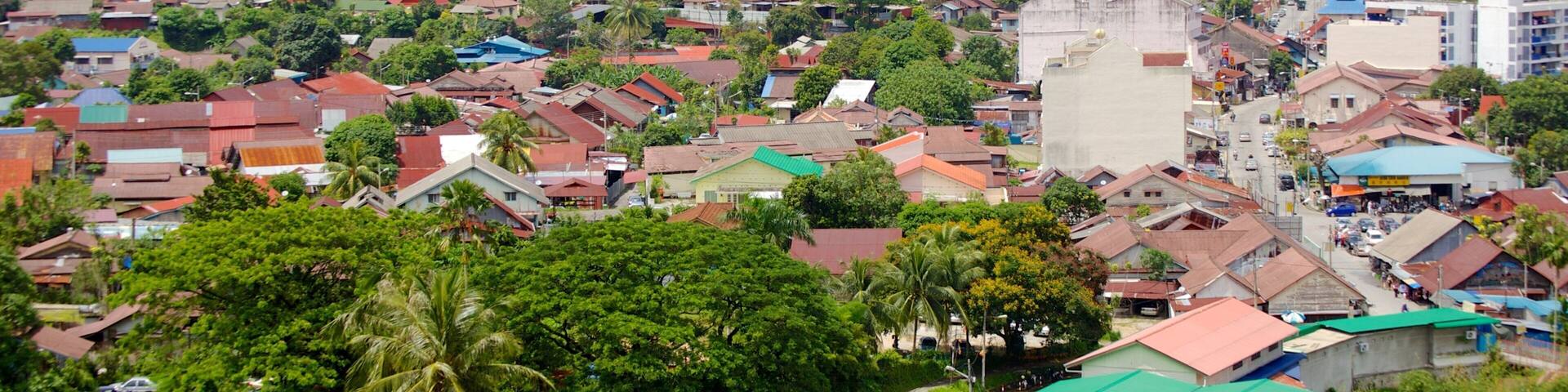 Kek Lok Si Temple featuring religious aspects, forests and a city