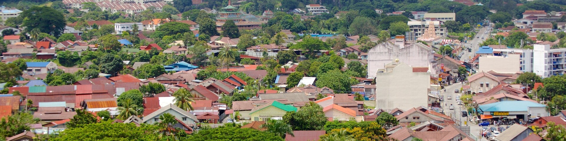Kek Lok Si Temple featuring religious aspects, forests and a city