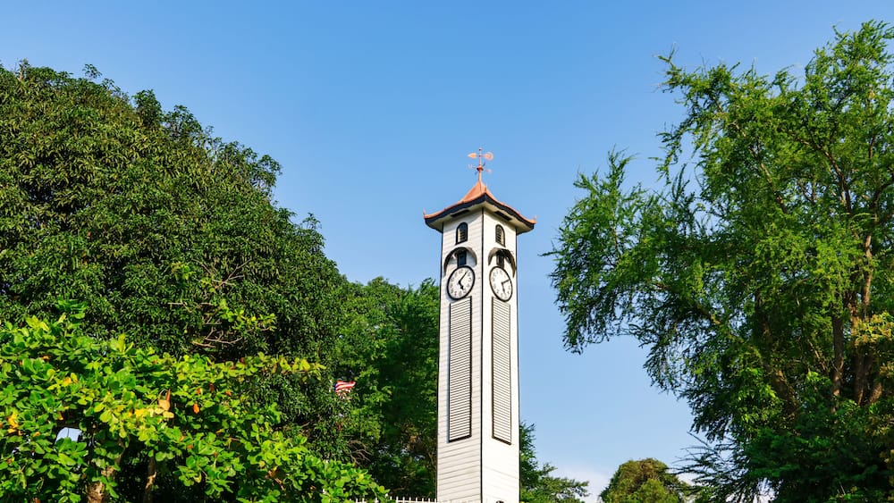 Ein mit üppiger Vegetation und einem weißen Zaun umgebener Glockenturm mit Wetterfahne.