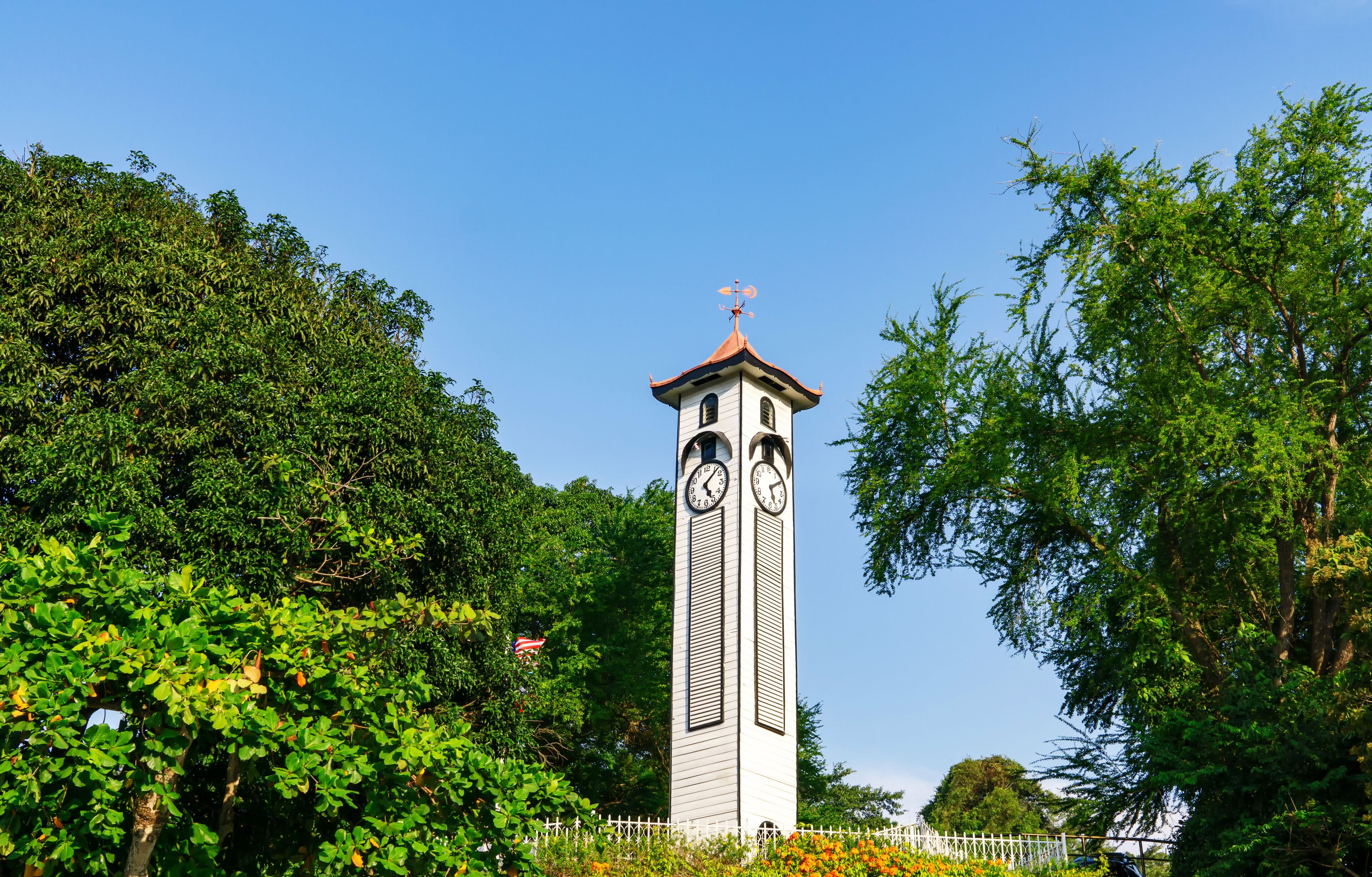 A clock tower with a weather vane, surrounded by lush greenery and a white fence.