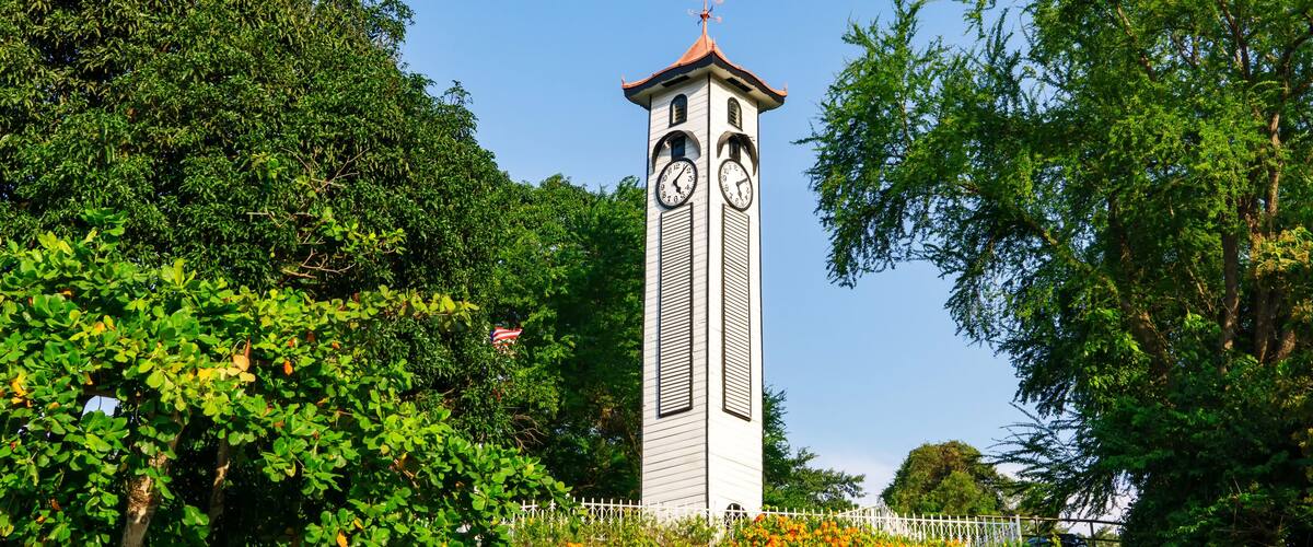 A clock tower with a weather vane, surrounded by lush greenery and a white fence.