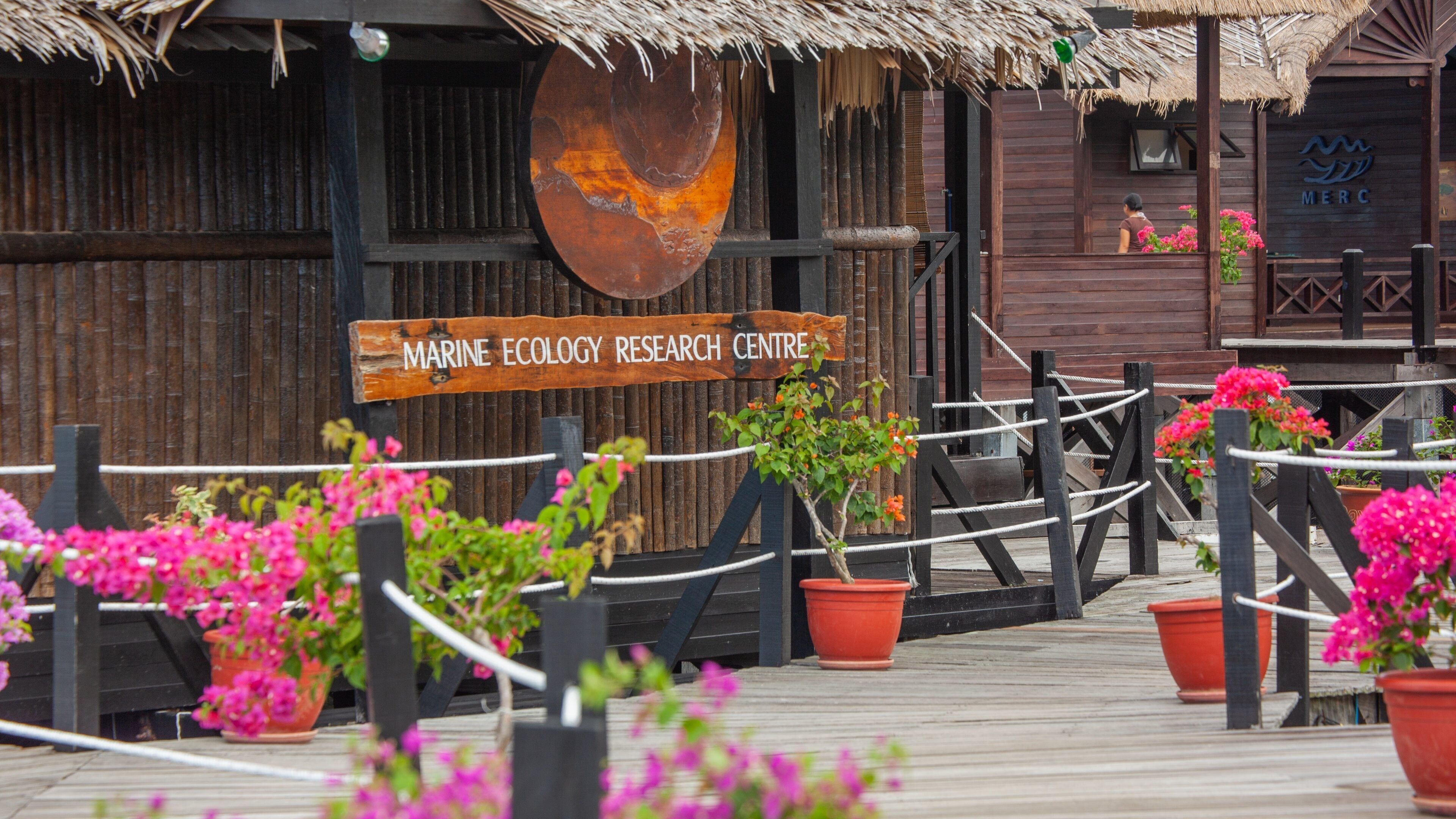 Tunku Abdul Rahman Park featuring flowers and signage