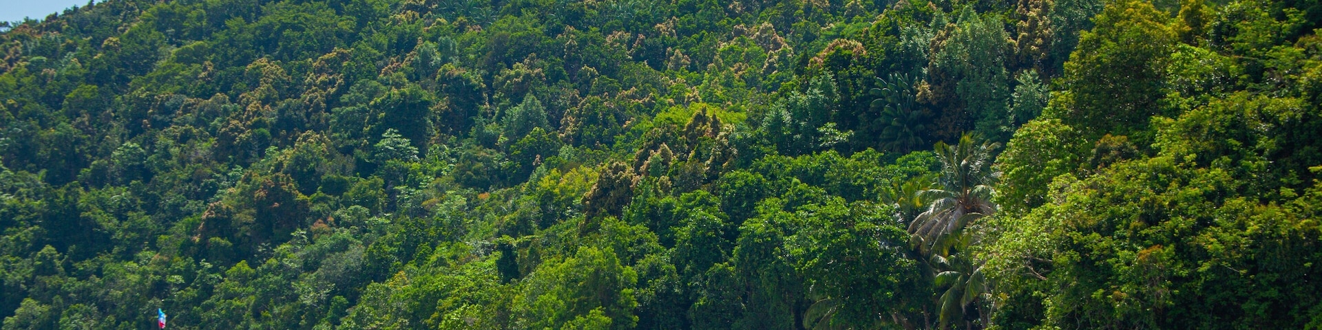 Tunku Abdul Rahman Park showing general coastal views and tropical scenes