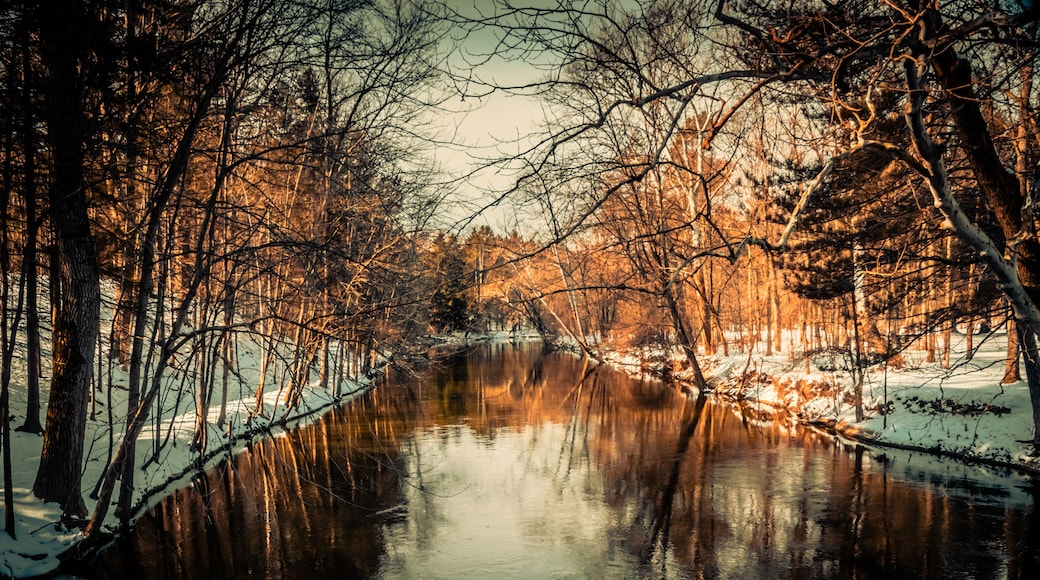 Winter view from the stone walking bridge of the Flint River in the Richfield County Park, Genesee County Parks and Recreation Richfield Township MI