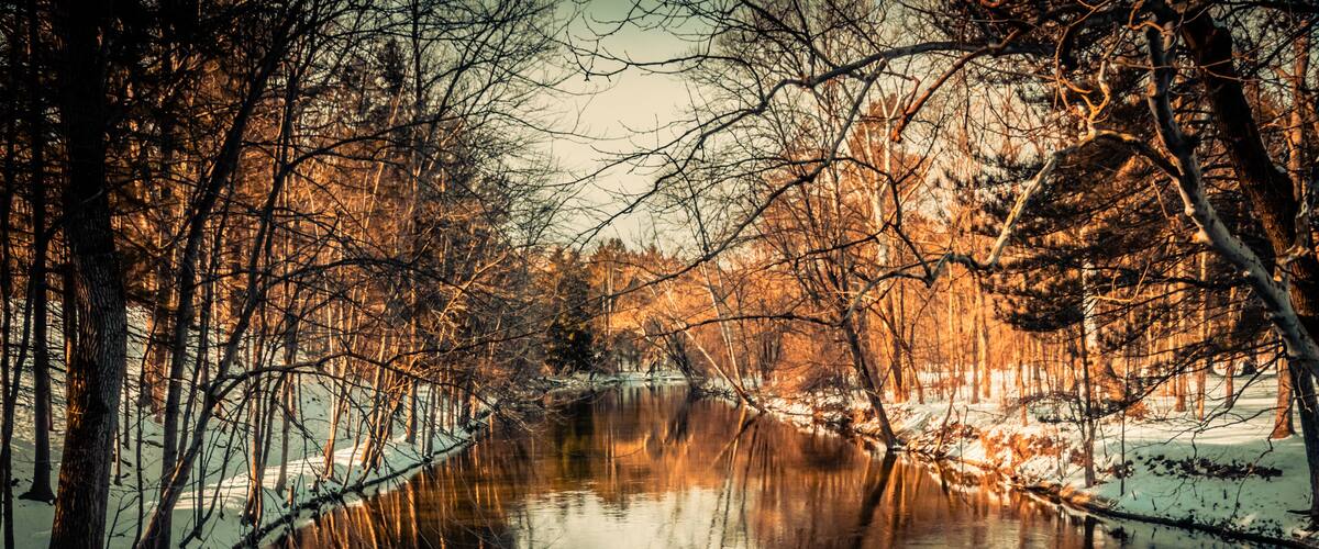 A river reflecting trees and a wooden bridge.