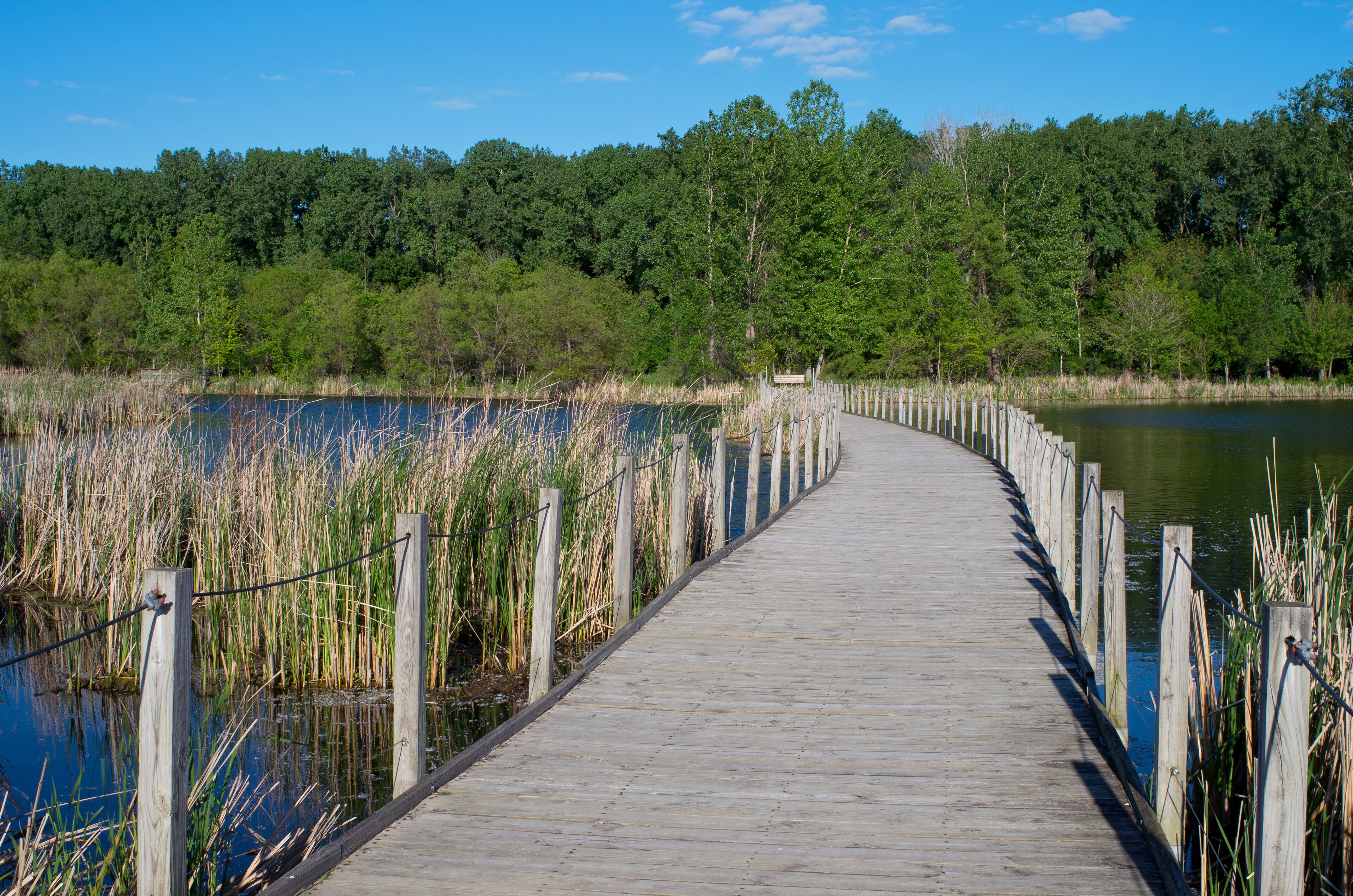 wood lake park boardwalk scenic