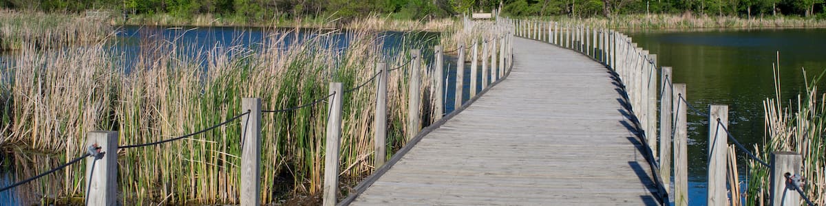 wood lake park boardwalk scenic