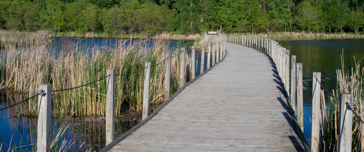 wood lake park boardwalk scenic