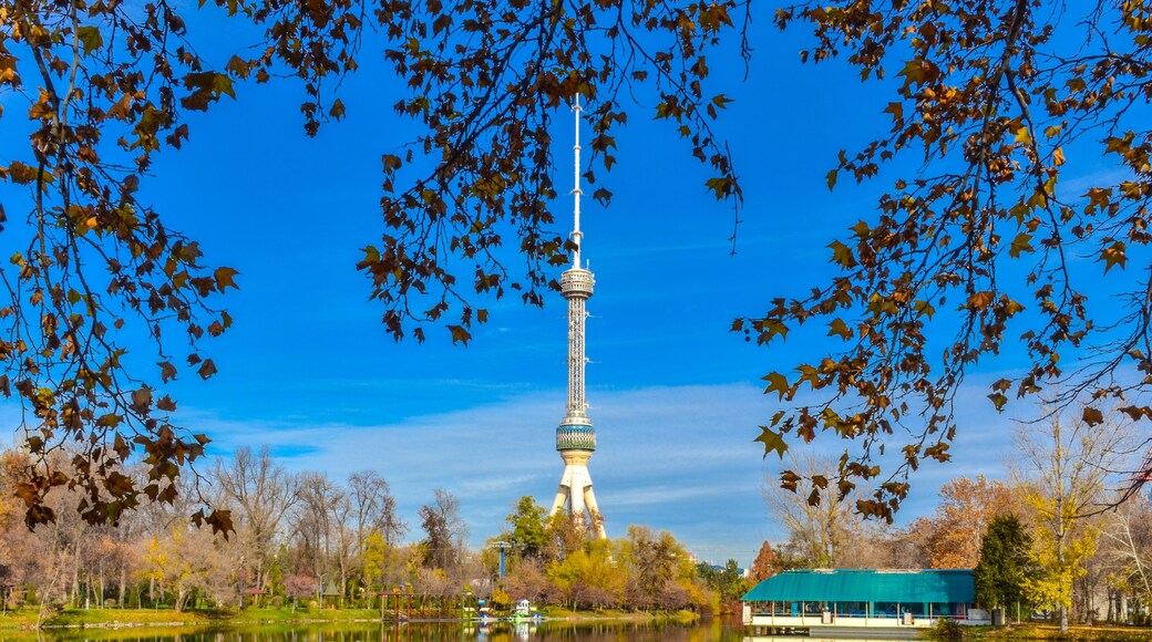 Tashkent TV tower scenic view from Japanese garden (Tashkent, Uzbekistan)