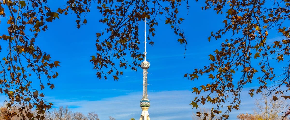 Tashkent TV tower scenic view from Japanese garden (Tashkent, Uzbekistan)