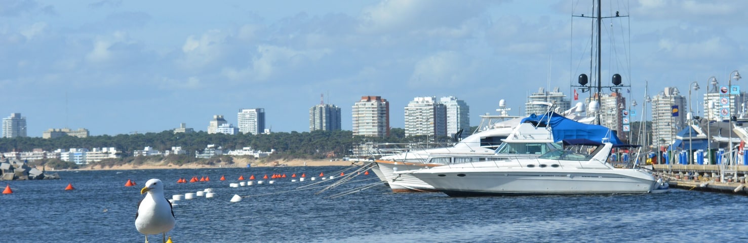 fishing boat on the coast of punta del este