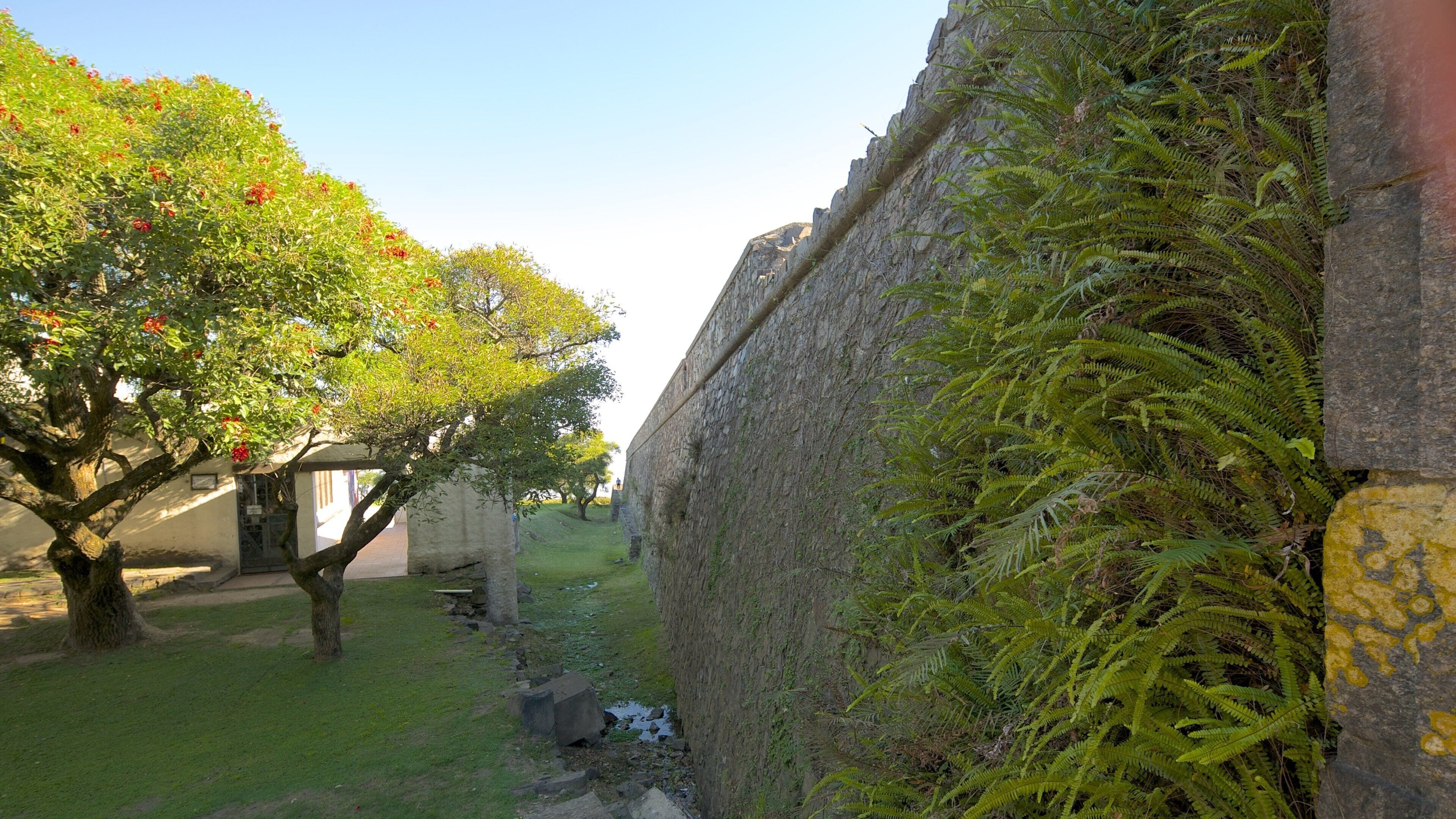 Porton de Campo showing a garden and heritage architecture