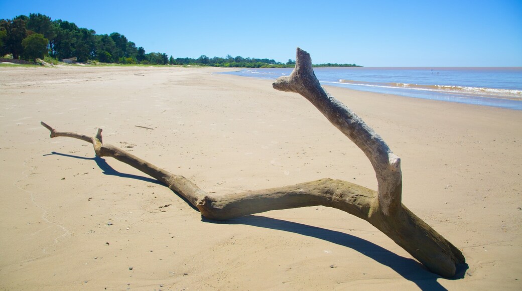 Plage de Ferrando montrant plage de sable