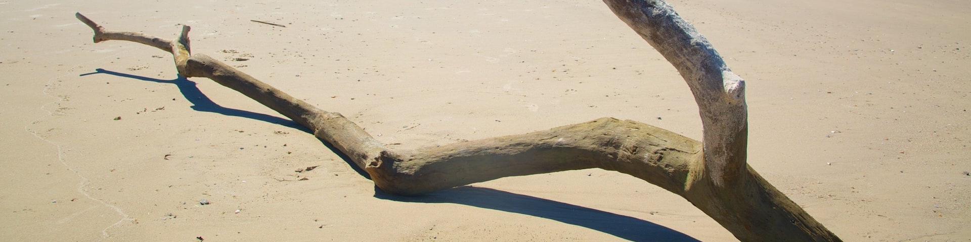 Ferrando Beach which includes a beach
