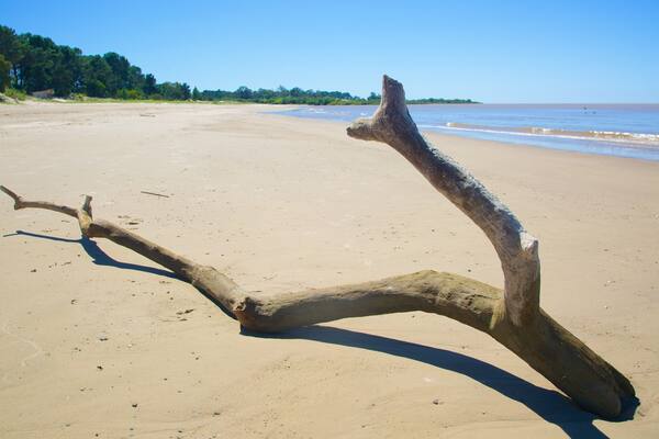 Playa Ferrando das einen Sandstrand