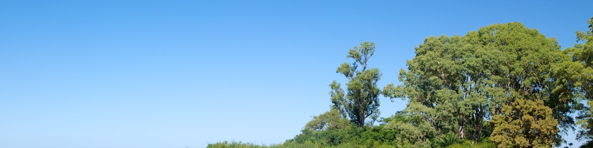 Ferrando Beach which includes a sandy beach