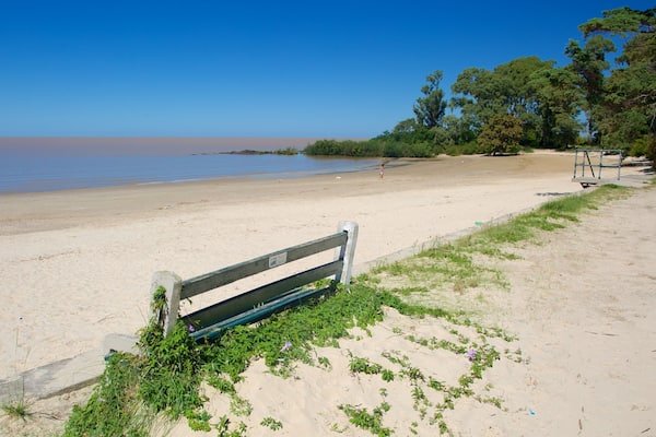 A beach with a bench, sand, water, and trees.