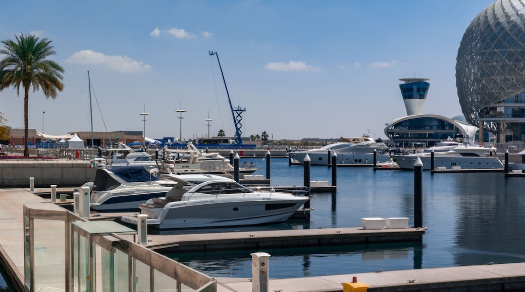 Yas Viceroy Hotel and Yas Marina Circuit, Abu Dhabi. The famous circuit is the venue for the Abu Dhabi Formula One Grand Prix and is built around two hotel buildings