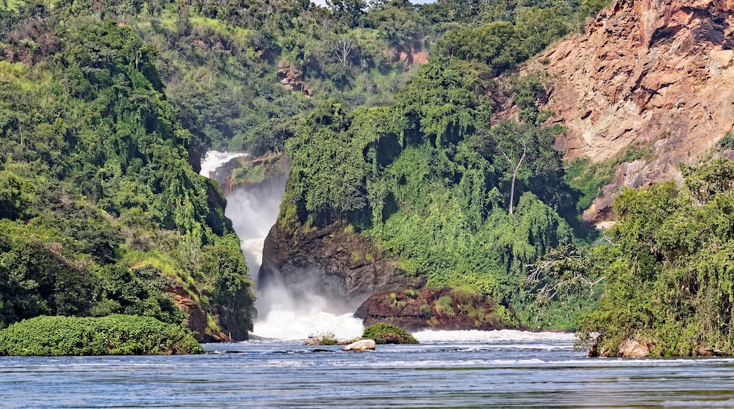 Murchison Falls in Uganda Africa