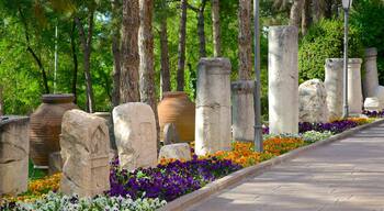 Museum of Anatolian Civilizations featuring flowers