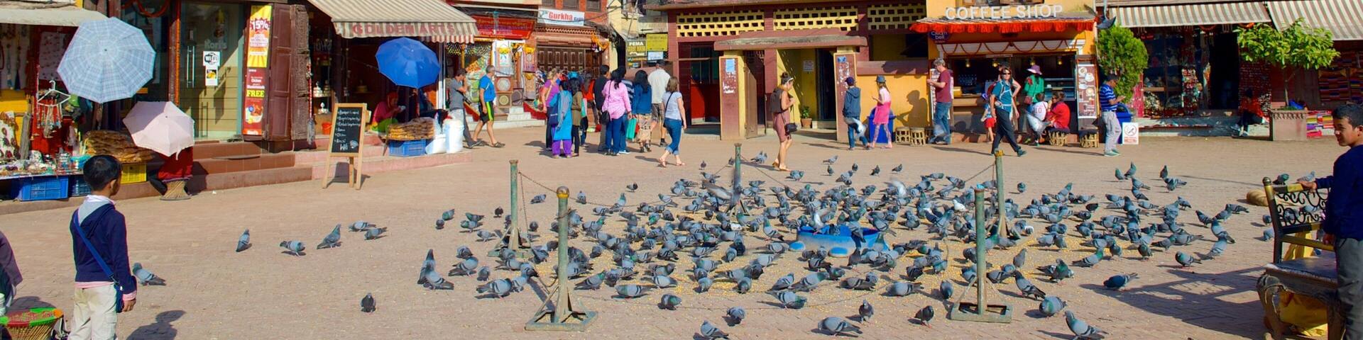 Boudhanath qui includes ville