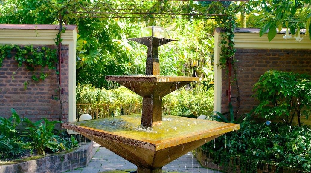 Garden of Dreams showing a fountain