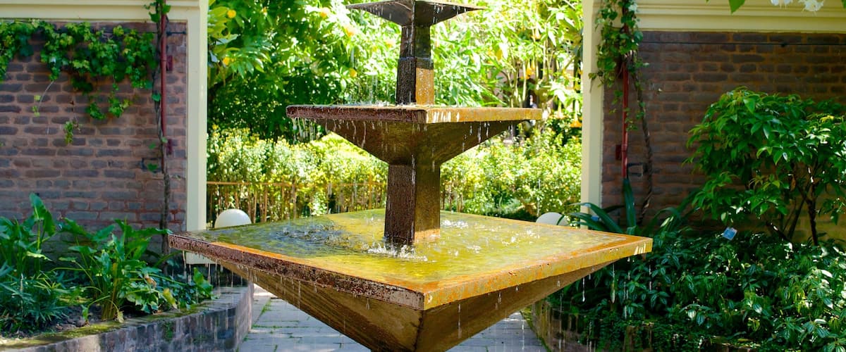 夢之花園 其中包括 噴泉