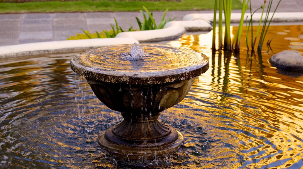 Garden of Dreams featuring a fountain and a pond