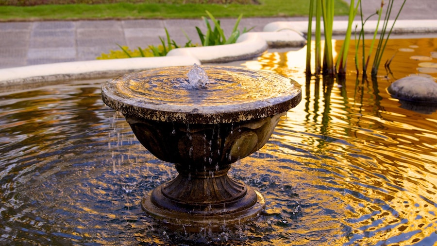Jardín de los Sueños que incluye una fuente y un estanque